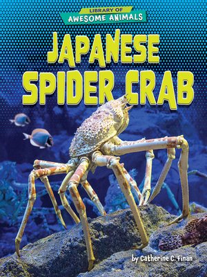 cover image of Japanese Spider Crab